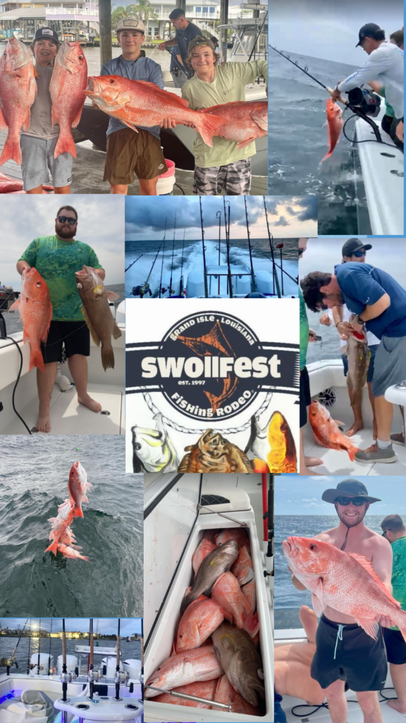 Used - Swollfest - collage